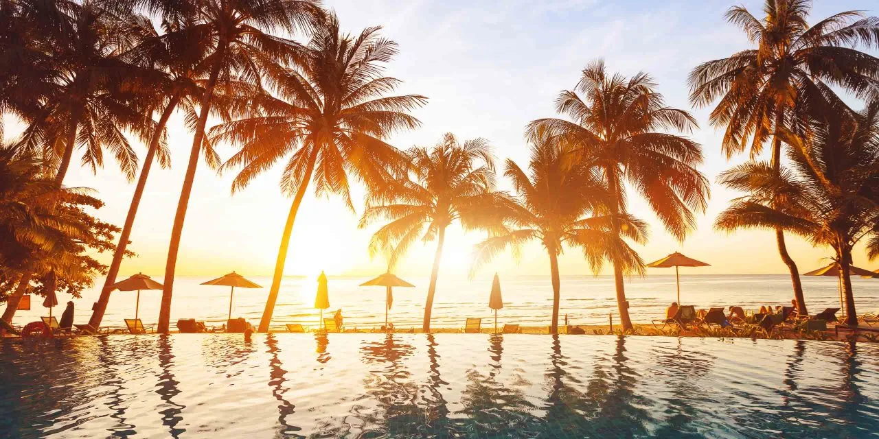A swimming pool with palm trees at sunset.